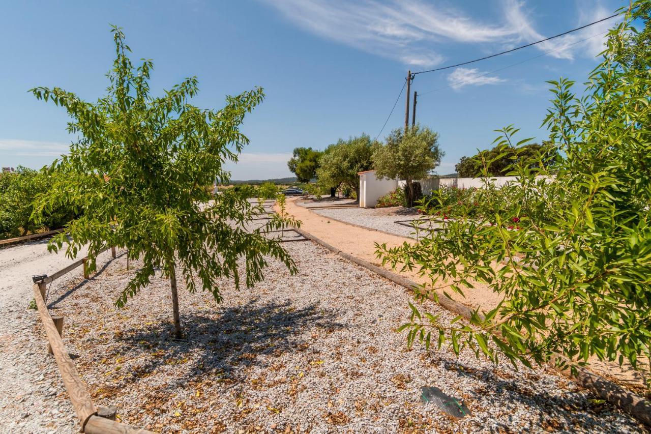 Alcáçovas Monte Da Cabeca Gorda Bed & Breakfast エクステリア 写真