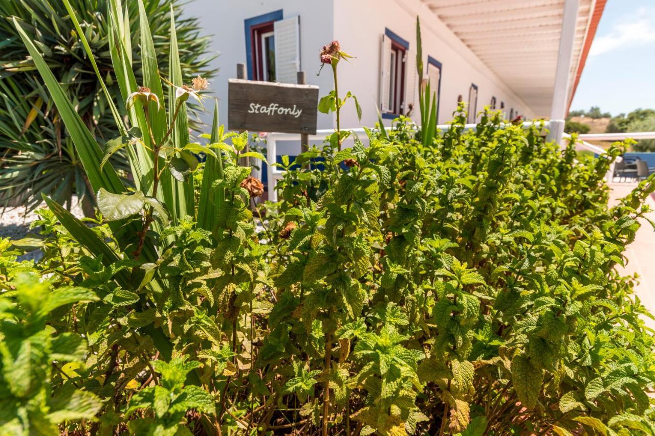 Alcáçovas Monte Da Cabeca Gorda Bed & Breakfast エクステリア 写真